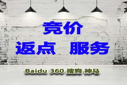 揭秘sem竞价代运营的成功要素及案例