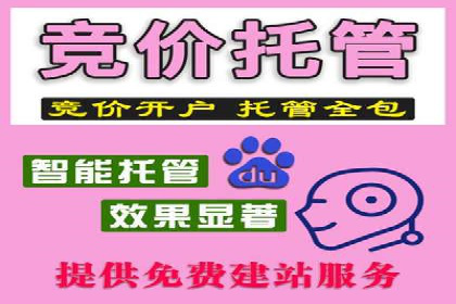 百度SEM案例：如何提高广告投放效果